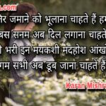 तेरी खातिर जमाने को भूलाना चाहते हैं हम | शायरी | करन मिश्रा